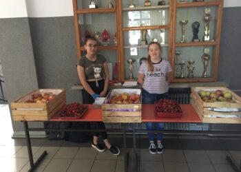 Akcja – Dzień bez papierosa