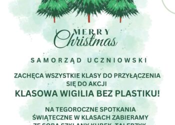Wigilia bez plastiku